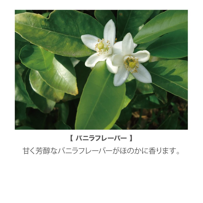 nbaa N.B.A.A Hard Fit Gloss 2.6 oz (75 g)