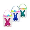 Ficlwigkis Easter Basket - 3PCS Easter Baskets for Kids Easter