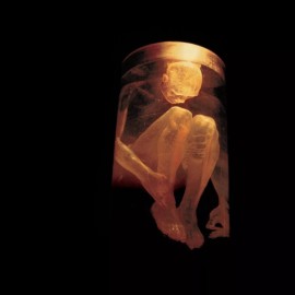Alice In Chains - Nothing Safe: Best Of The Box & Alice In [New CD Bundle]