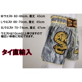 THAI BOXING Embroidered Muay Thai Pants, Dragon Dragon, Kickboxing, Martial Arts, Boxing Trunks, gray, M