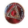 1 Year AA Medallion Lava Red Tri-Plate Sobriety Chip Serenity