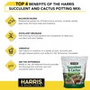 Harris Premium Succulent and Cactus Potting Soil Mix, Fast Draining