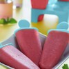 Ice Lolly Moulds for Ice Lolly Moulds Reusable Pack of