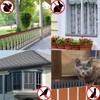 Bird Spikes, 20 Packs Bird Deterrent, Raccoon for Outdoor Repelling