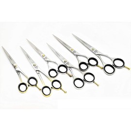 6 Pieces- Professional Hairdressing Shears Barber Scissors Size 6.5" & 6" (CYNAMED)