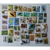 50 Different Insects/Invertebrates/Bugs Stamps Collection (Stamps for Collectors)