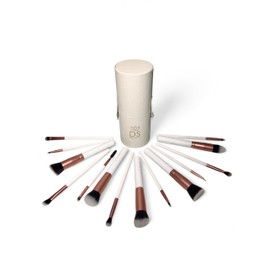 DS BEAUTY 14 Piece Professional Make Up Brushes Set - Soft, Hypoallergenic, for Foundation, Eyeshadow and Powder in Elegant and Portable Tube Case - Ideal for Beginners and Experts (White)