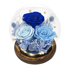 FIACO Preserved Roses in Glass Dome with LED Light Forever Flowers Eternal Roses Gift for Women Christmas & Birthday Gifts for Mom Grandma Wife Girlfriend