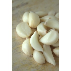 Fackelmann Elemental Knoblauchpresse, Ingwer, Zerkleinerer aus Edelstahl, Rohrgriff, 19 cm, 1 Stück