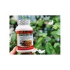 Generic Dietary Supplement (1 Pack, CORDYCEPS 950)