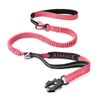 Heavy Duty Tactical Dog Leash with Quick Release Carabiner and