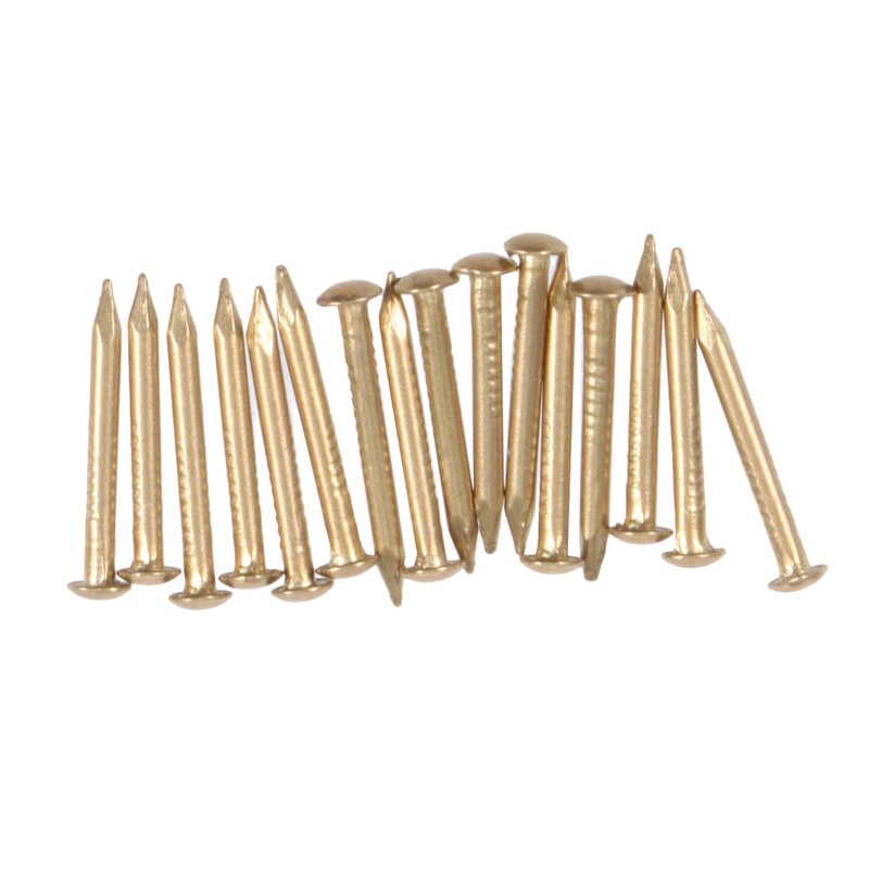 SUPVOX 100pcs Copper Nails for Killing Trees Stump Removal Spikes
