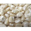 Hickory King White Dent Corn Seeds for Planting 50 Seeds.