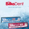 Bilka Dent Himalaya Salt Toothpaste Complete Care Natural Toothpaste with