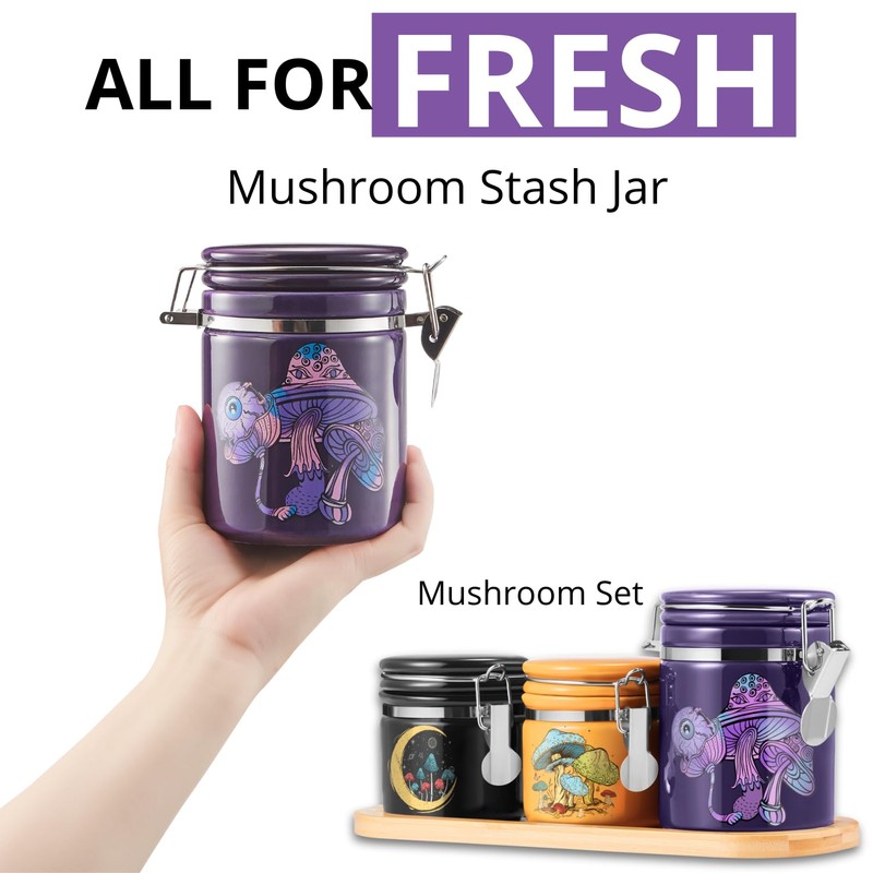 Smell Proof Container (500ml - 1 Oz), Mushroom Stash Jar
