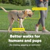 PetSafe Easy Walk Arnés Antitirones para Perro Frambuesa/Gris Talla M