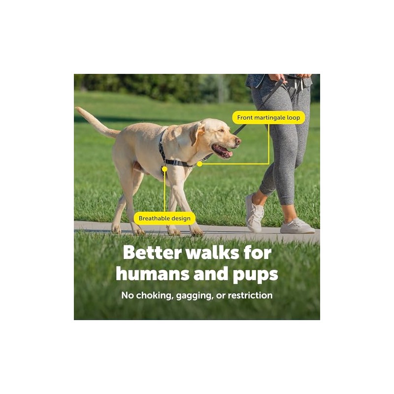 PetSafe Easy Walk Arnés Antitirones para Perro Frambuesa/Gris Talla M