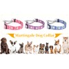 haoyueer Martingale Dog Collar with Stainless Steel Chain - Cute