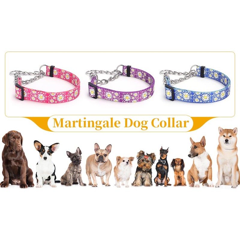 haoyueer Martingale Dog Collar with Stainless Steel Chain - Cute