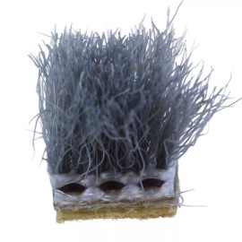 Singer Brush, Singer