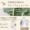 Malt Pet Cat Dog Natural Ingredients Premium Rinin Shampoo, Unscented,