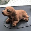 Bobble Head Dachshund Car Decoration, Nodding Dog Ornament with Chain,