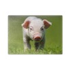 Chopping Board / Glass Chopping Board 20 x 28 x