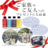 Car Wash While Carwashing: This is a gift set that