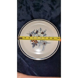 Town and Country Rare Design Town and Country Collection Blue Ridge Dinner Plate 10.5"