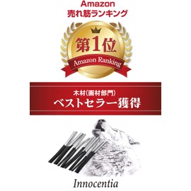Innocentia Charcoal Painting Supplies Set, Set of 10 / Exclusive Case Included, Charcoal Stick, Charcoal Drawing (You Can Expresse Gradations Like Watercolor Painting), For Sketching, Drawing