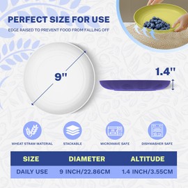 Homienly - Juego de platos de paja de trigo de 9 pulgadas alternativas a platos de plástico aptos para microondas con patrón texturizado, platos irrompibles para cocina, juego de 4 colores Mondrian