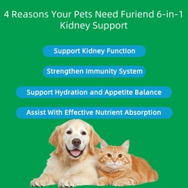 Veterinarian Formulated Kidney Support for Cats & Dogs | 6-in-1 Liquid with Herbal Blend + Vitamin B Complex | Bacon Flavor for Kidney & Urinary Health, Energy & Appetite | 2oz (59ml)