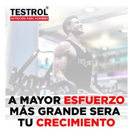 Testrol Platinum L-carnitina 1300mg 90 Cápsulas Sin Sabor