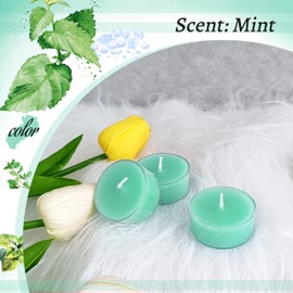Mint Scented Tealight Candles, Blue Scent Tea Lights Clear Cup, 24 Pack Colored Tealights Candle, 6 Hour Burn Time Tea Candles for Party, Decor, Spa, Shabbat