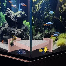 Aquarium Corner Cave with Viewing Window – 2-Hole Fish Hideout for Plecos, Cory Catfish, Shrimp, Kuhli Loach, Betta – Safe Plastic Undergravel Shelter for Bottom Dwellers (5"x5"x2")
