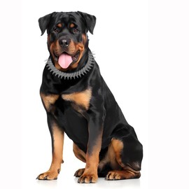 Silver Dog Chain Collar, Side Spiked Style Necklace Bling Diamond Cuban Link Dog Collars Glitter Rhinestone Puppy Collar for for Small Medium Large Pet Dogs Cats, 22-Inch