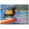 2025 A4 Crazy Cannines. One Month to View. A3 when