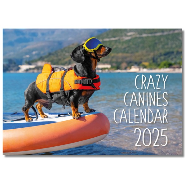 2025 A4 Crazy Cannines. One Month to View. A3 when