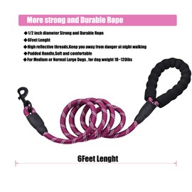 PETESCORT 6FT/10FT Strong Dog Leashes with Comfortable Padded Handle and Highly Reflective Threads for Small Medium and Large Dogs(6 Feet x1/2'' (Pack of 1), Purple)