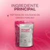 Pharmadan Péptidos Colágeno Sabor Gramos Por Porción 300