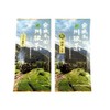 High Quality Sencha Set with Taste, [Shizuoka Kawane Tea from