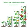 2Pack 63Inch Tomato Cages Plant Support Cages for Tomato, Climbing