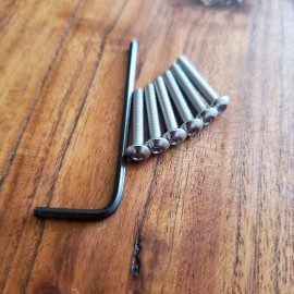 For Fernder or Squier Saddle Intonation Screws (6) Mustang, Jaguar, Jazzmaster. Hex - Allen Head