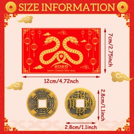 VioraWhite 100 Pcs Chinese New Year Scratch Off Cards 2025 Year of The Snake Fortune Cards with 25 Chinese New Year Coin Chinese Decorations Money Good Luck Charms for Party Games Culture (Classic)