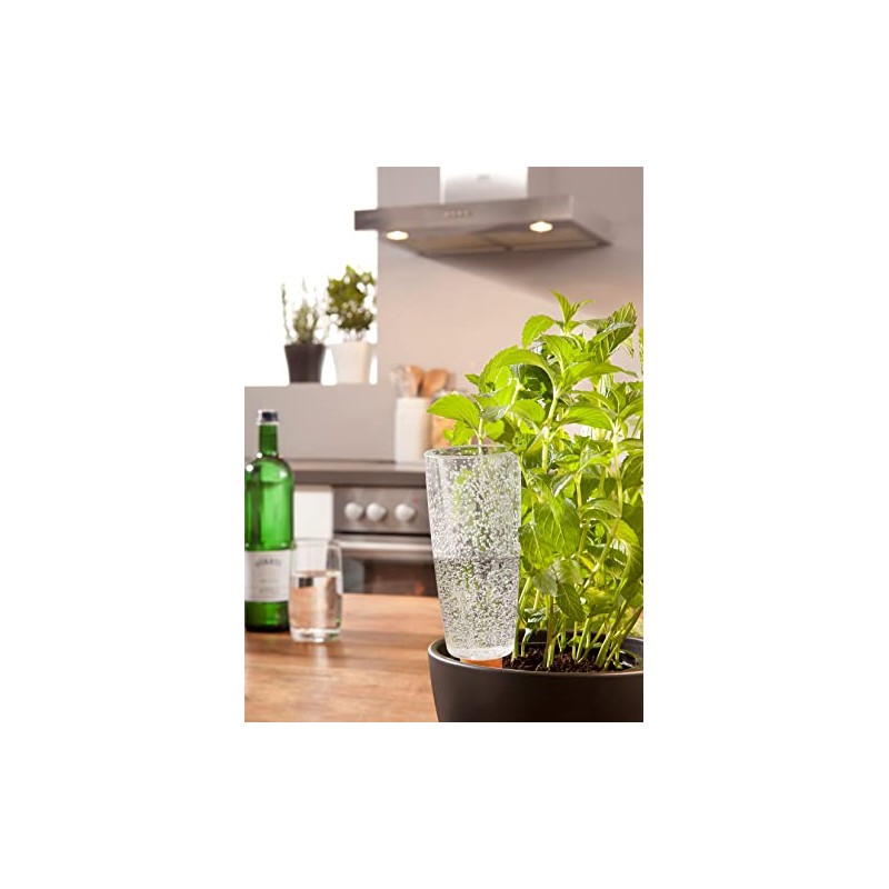 Scheurich Copa Plastic Water Reservoir, Colour: Copa M, Transparent-Clear, 9