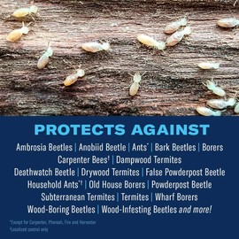 BioAdvanced Termite and Carpenter Bee Killer Plus, Foam, 18 oz