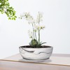 G EPGardening 10Inch Large Planter Marble Pattern Ceramic Succulent Planter