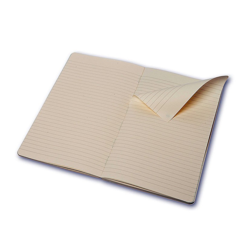 Moleskine Chapters Journal Mist Green Slim Medium Ruled