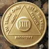 Alcoholics Anonymous 29 Year Recovery Coin Chip Medallion Medal Token
