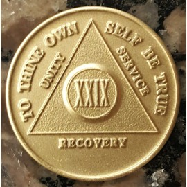 Alcoholics Anonymous 29 Year Recovery Coin Chip Medallion Medal Token AA Bronze